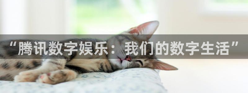 黑螞蟻電視劇全集免費收看：“騰訊數字娛樂：我們的數字生活”